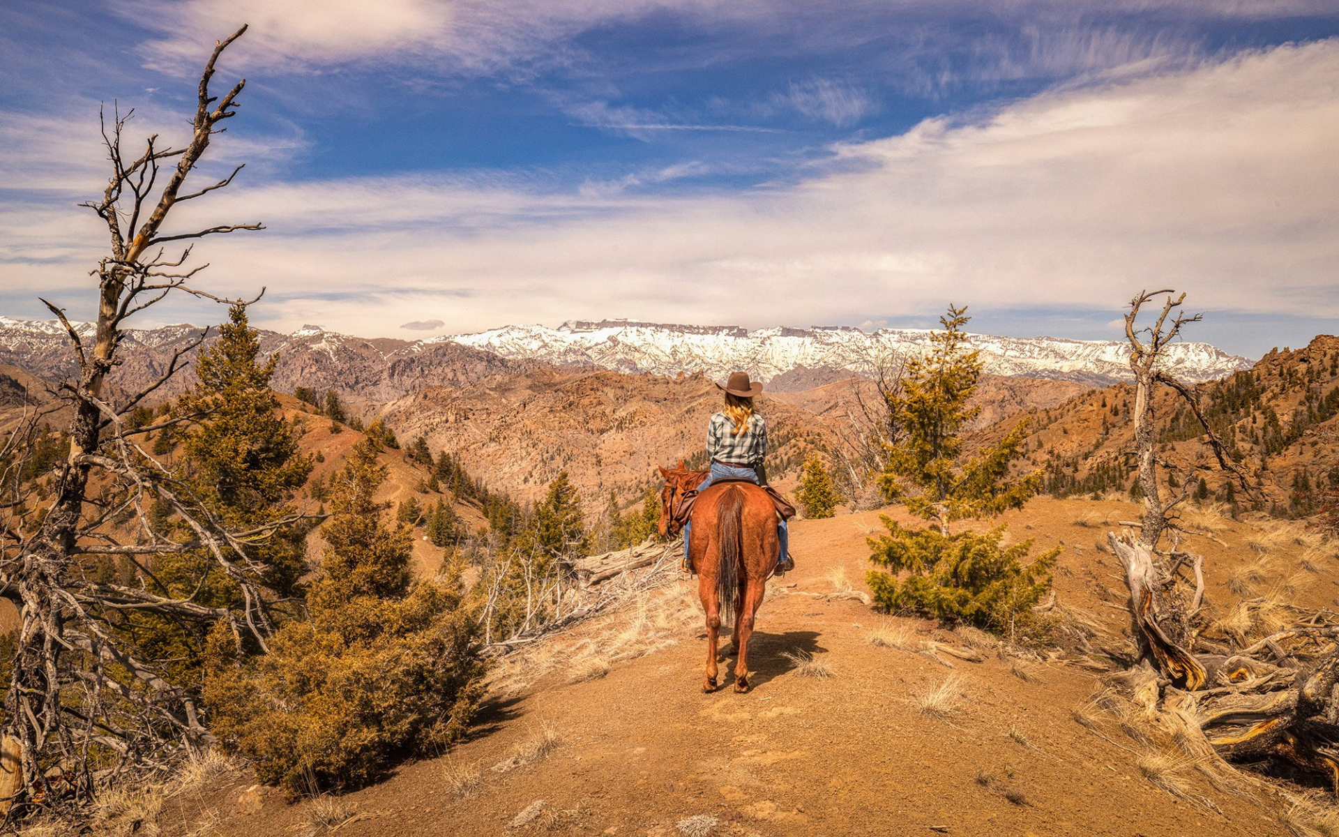 Cowgirl overlooking scenic mountain view on horseback