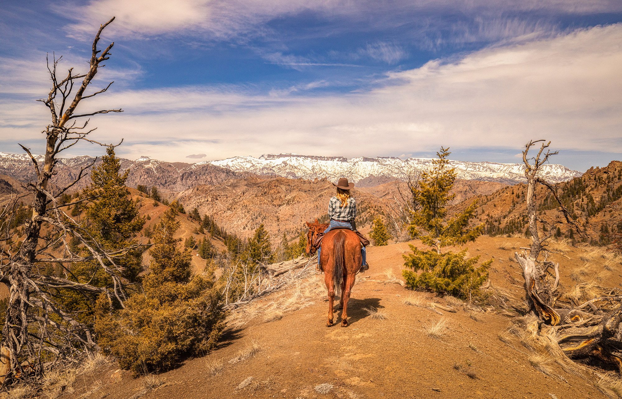 Cowgirl overlooking scenic mountain view on horseback