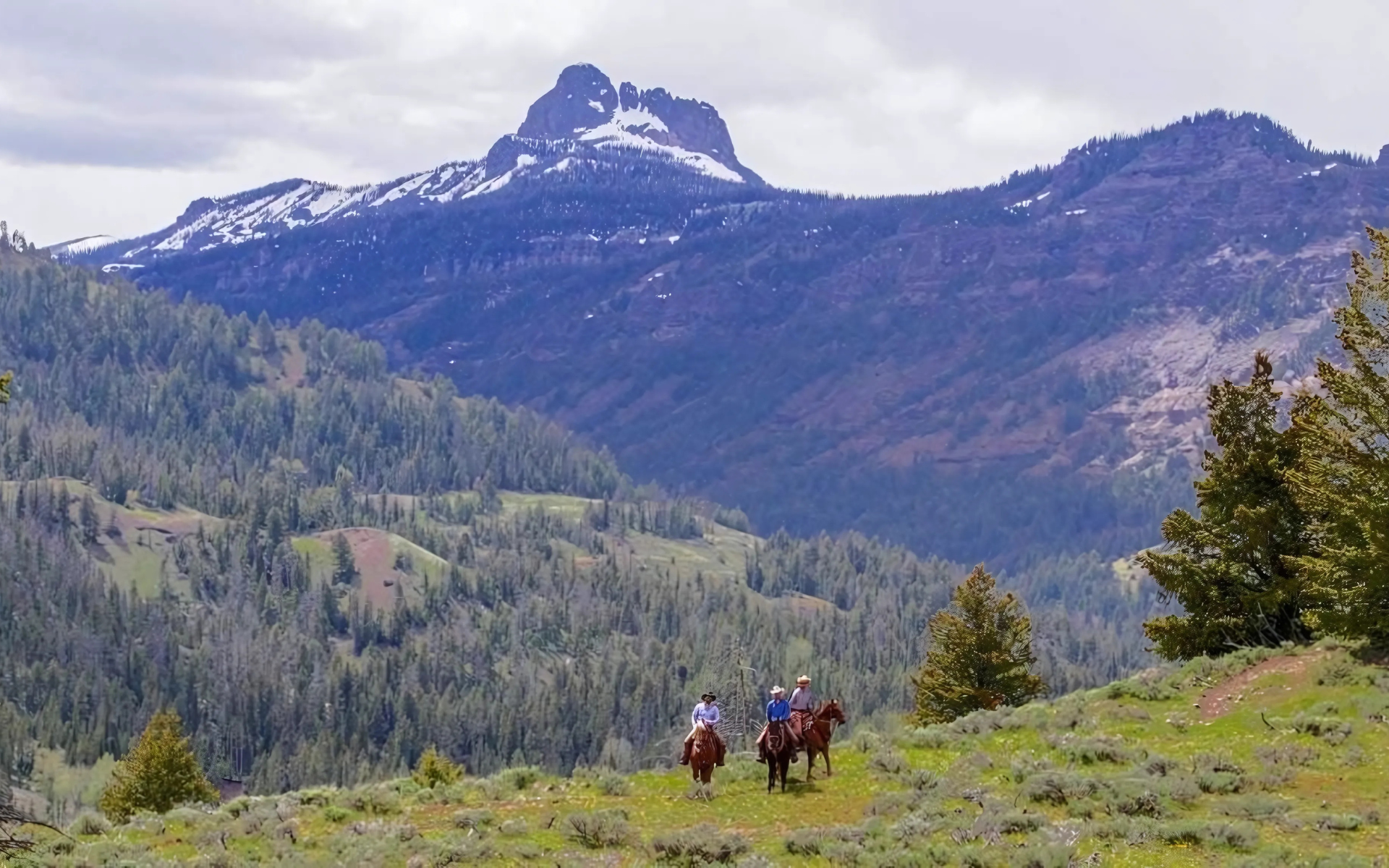 Trail Ride in the Wyoming mountains near UXU Ranch