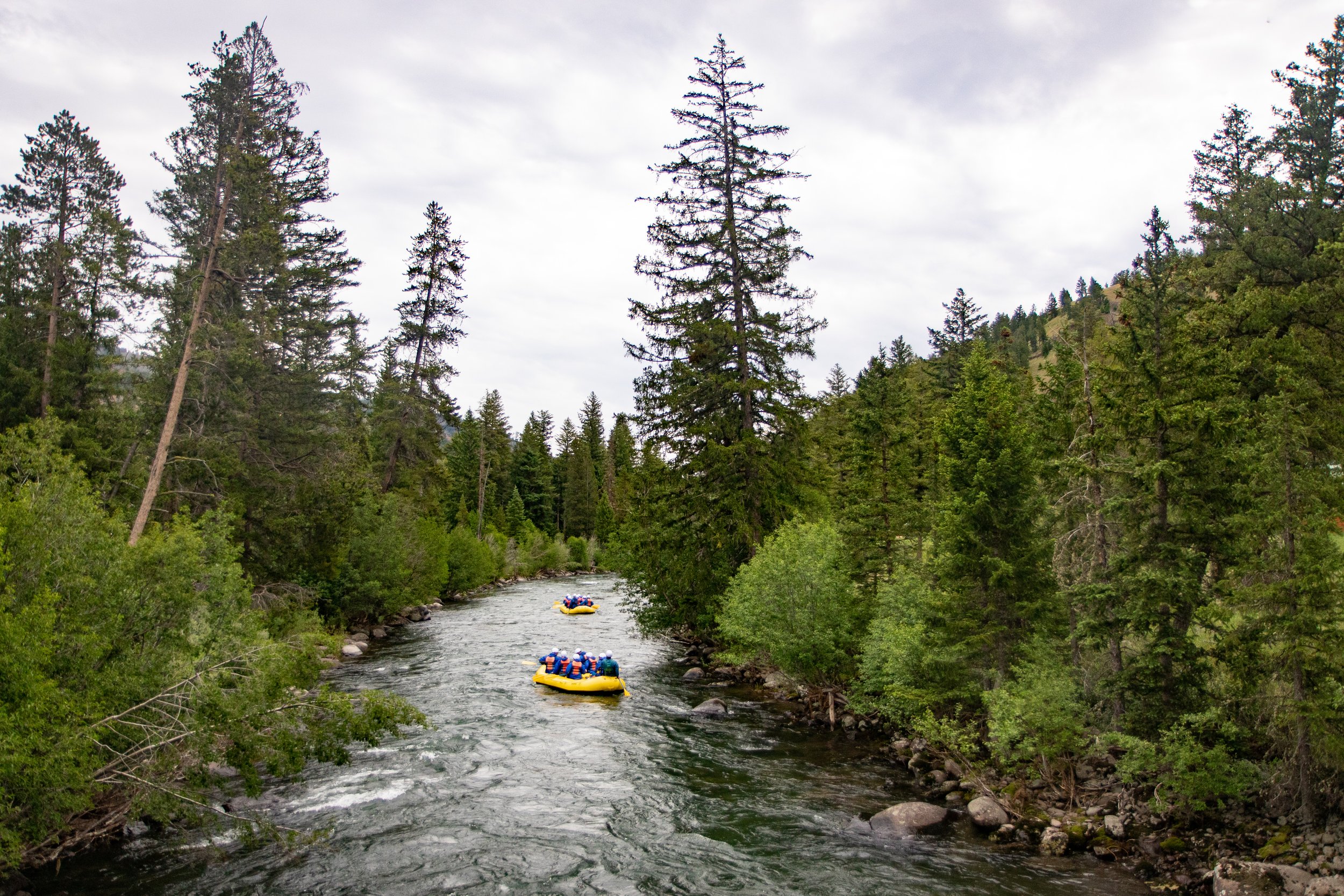 White Water Rafting on the River