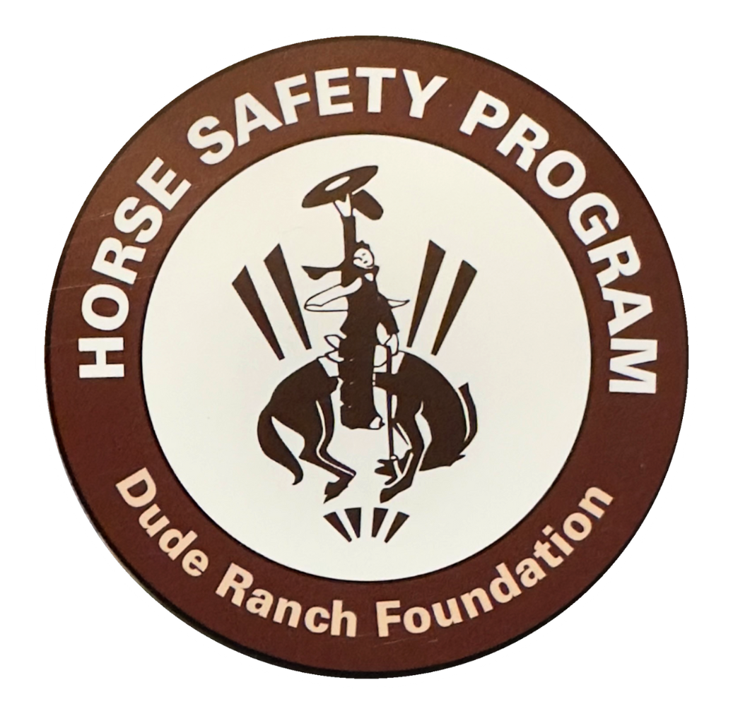 Horse Safety Program 