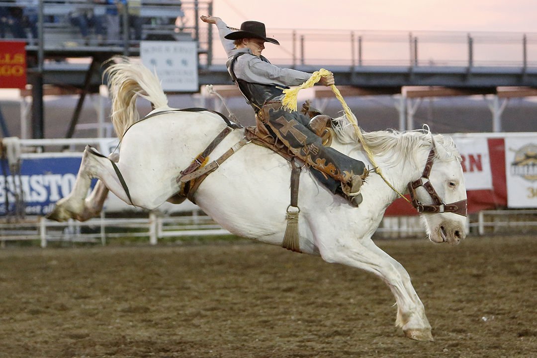 Cody Nite Rodeo Bronc Rider