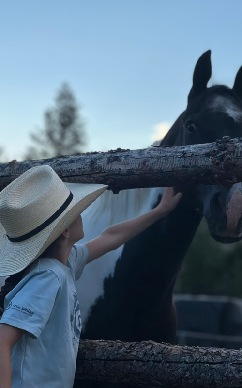 Back at the ranch